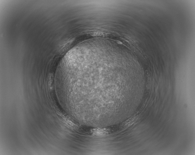X0000058800273200510171355