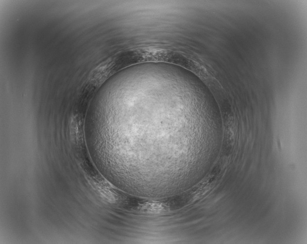 X0000058800276200510171355
