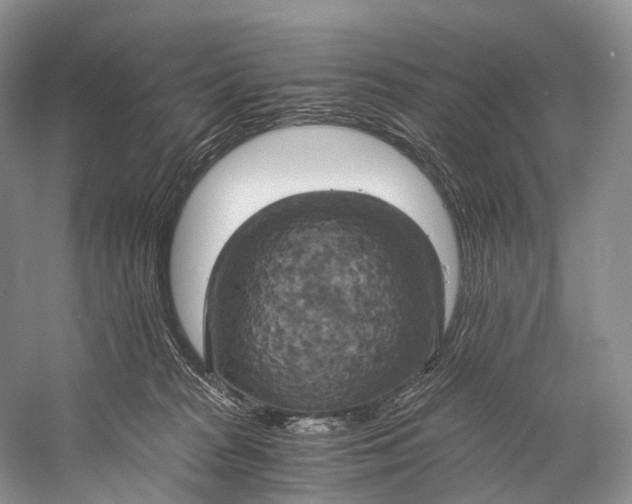 X0000058800277200510171355