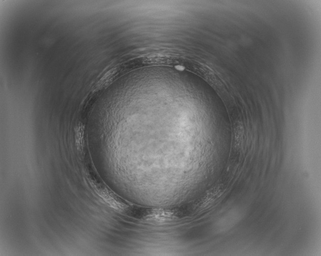 X0000058800278200510171355