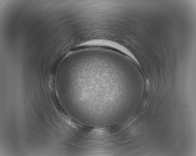 X0000058800280200510171355