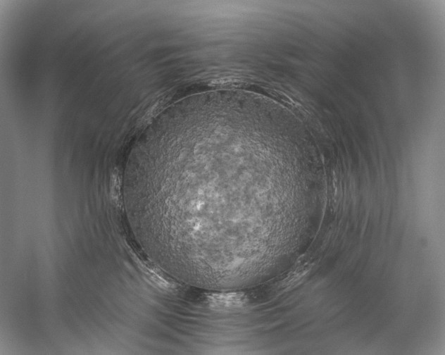 X0000058800281200510171355