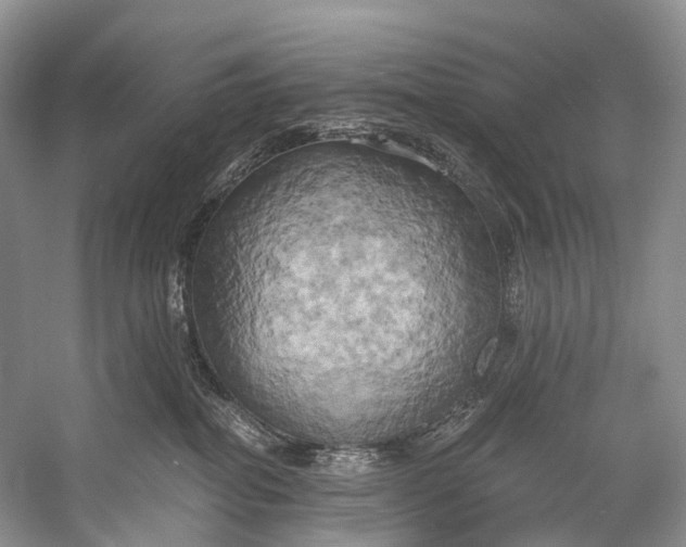 X0000058800282200510171355