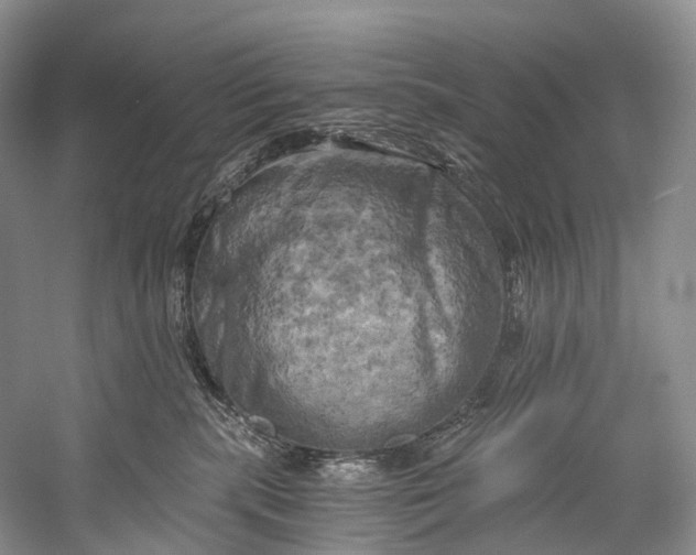 X0000058800283200510171355