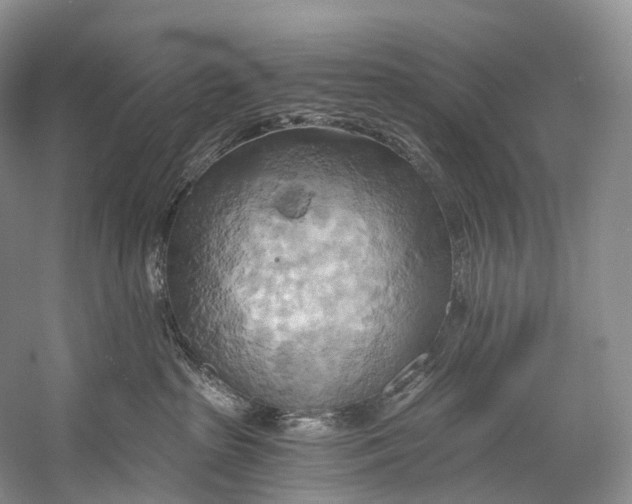 X0000058800285200510171355