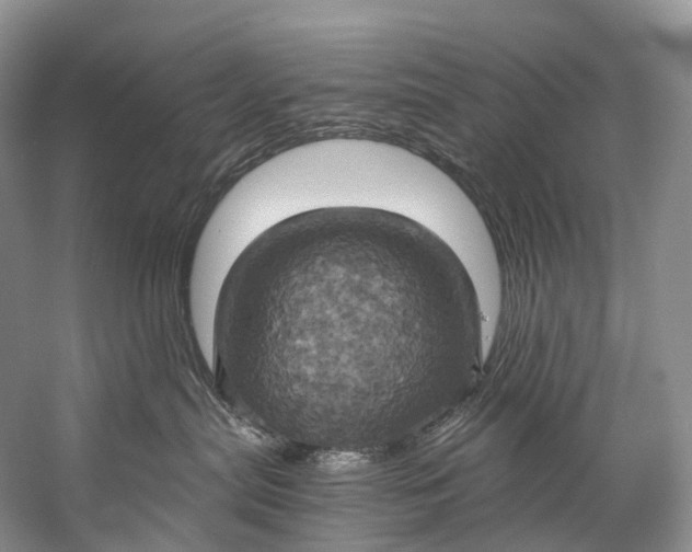 X0000058800287200510171355
