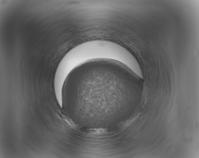 X0000058800288200510171355