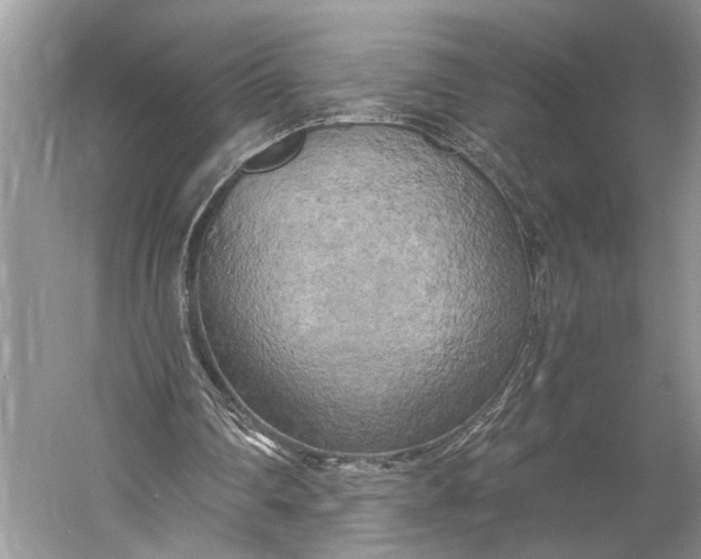 X0000058800290200510171354