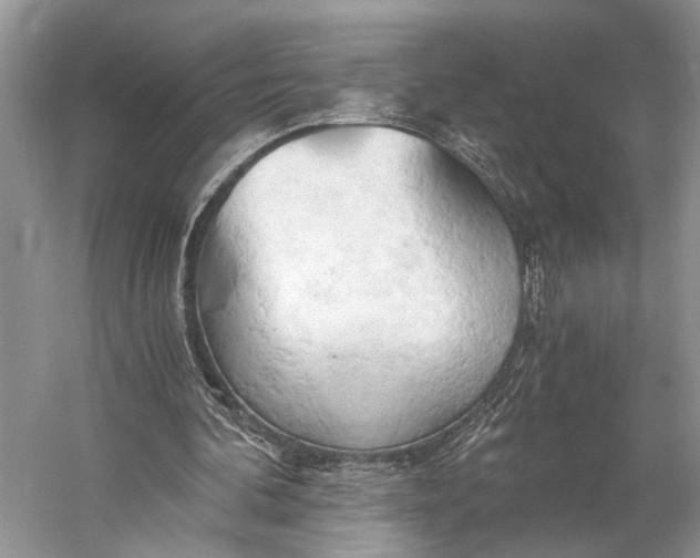 X0000058800292200510171354
