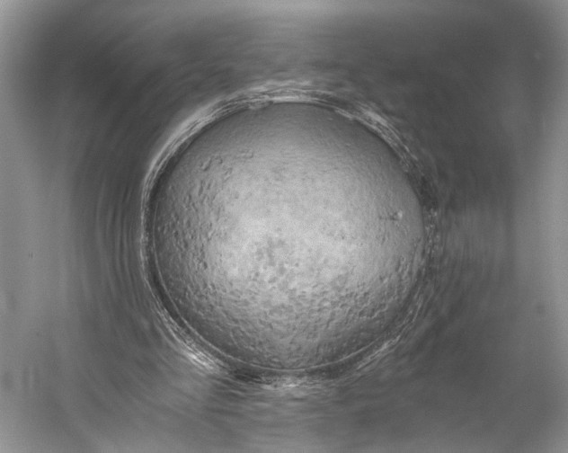 X0000058800293200510171354
