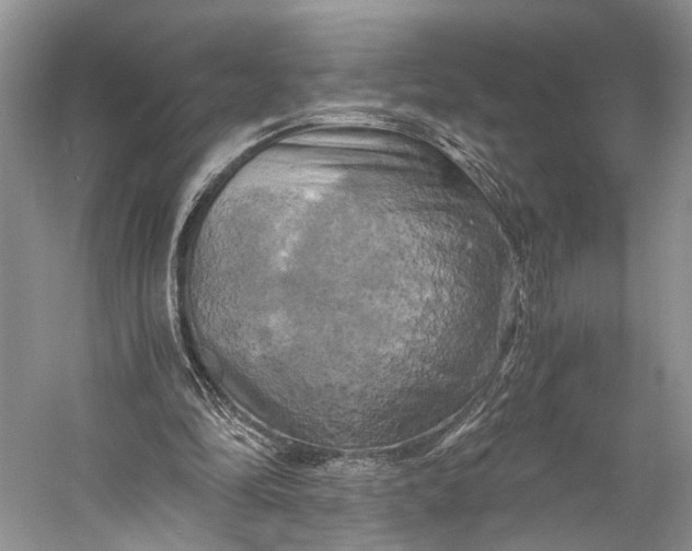 X0000058800294200510171354
