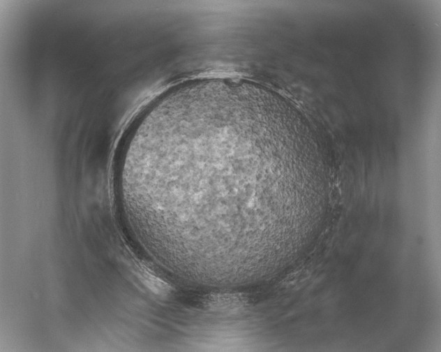 X0000058800296200510171354
