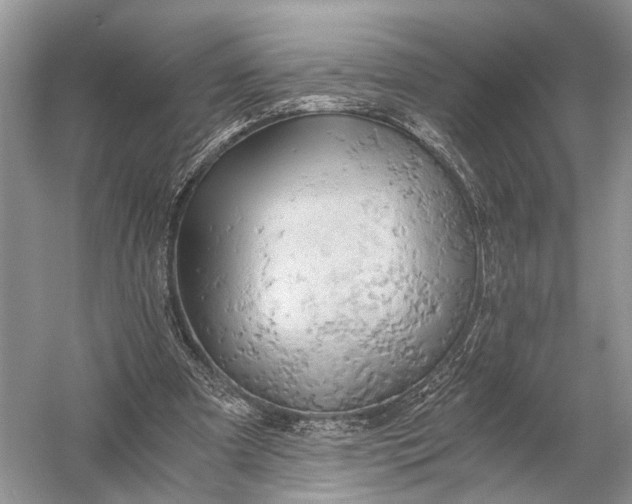 X0000058800297200510171354