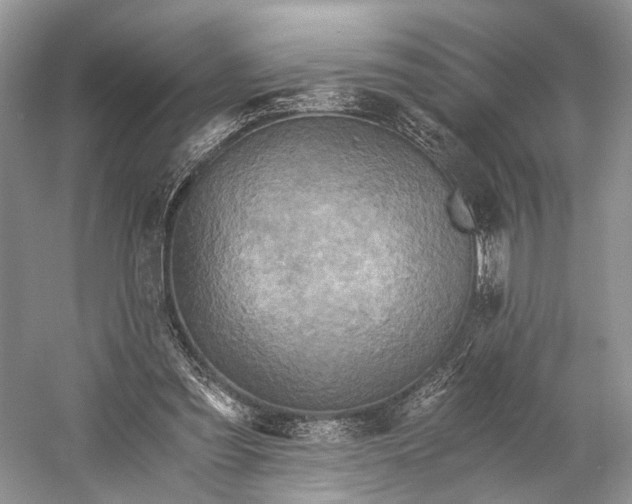 X0000058800301200510171354