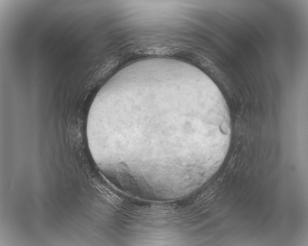 X0000058800305200510171354
