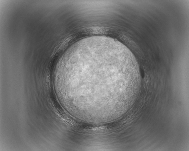 X0000058800306200510171354