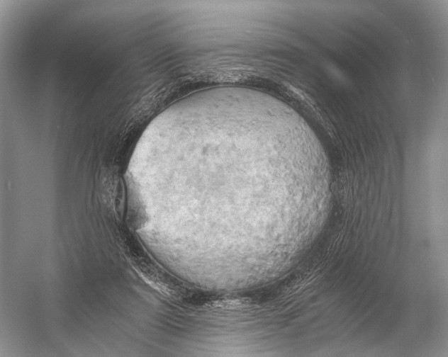 X0000058800307200510171354