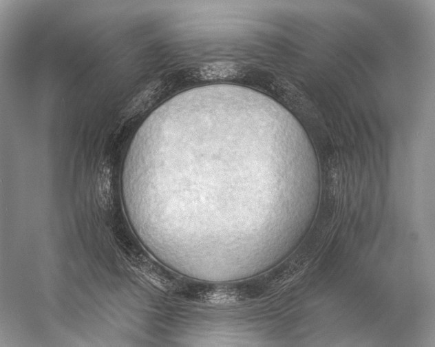 X0000058800308200510171354
