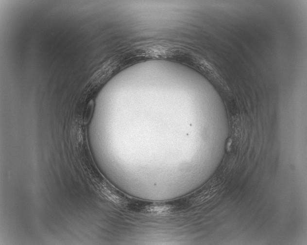 X0000058800313200510171354