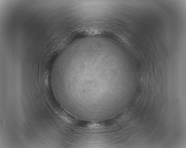 X0000058800315200510171354