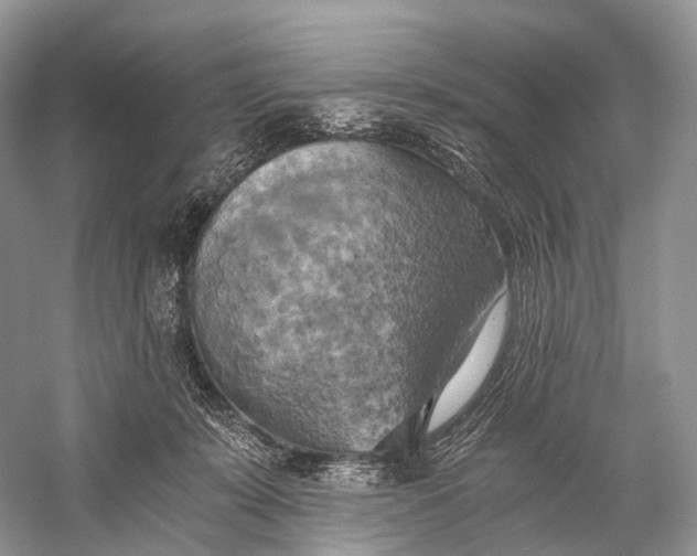 X0000058800319200510171354