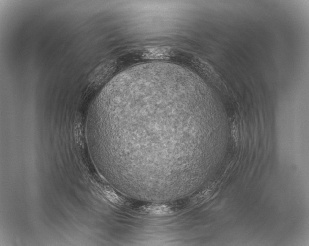 X0000058800322200510171354