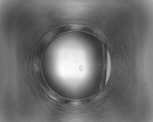 X0000058800325200510171354