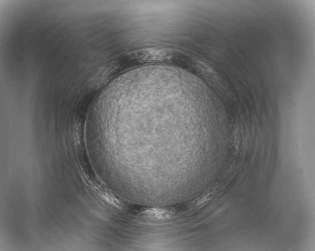 X0000058800326200510171354