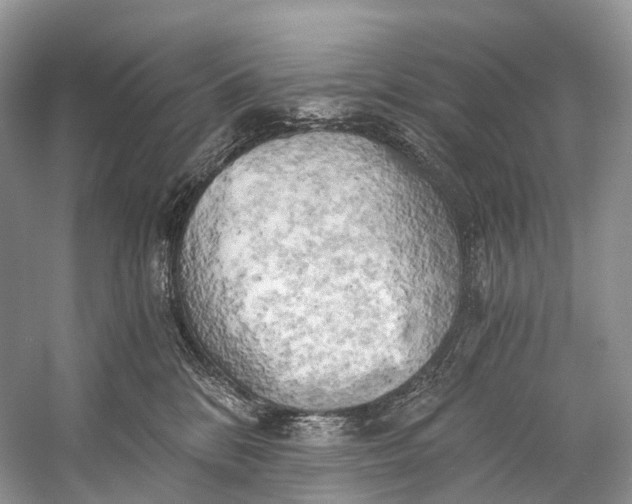 X0000058800328200510171354