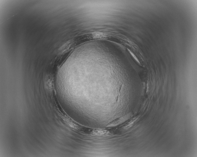 X0000058800329200510171354