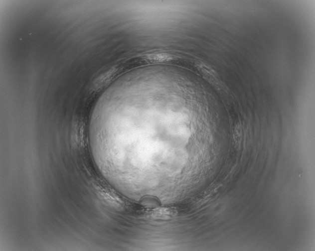 X0000058800330200510171353