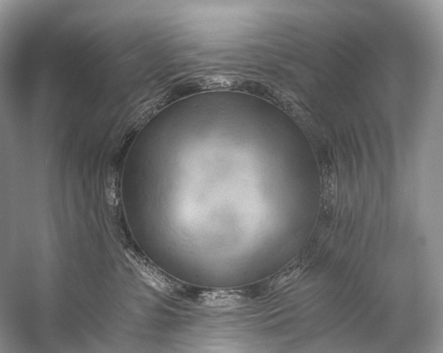 X0000058800331200510171353