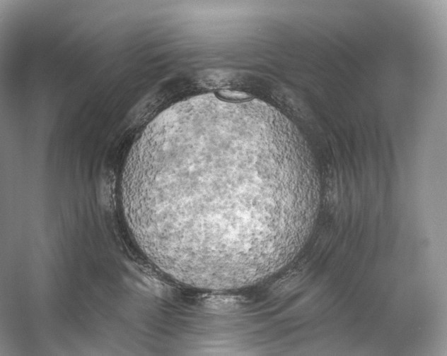 X0000058800332200510171353