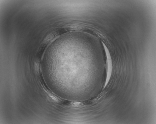 X0000058800333200510171353