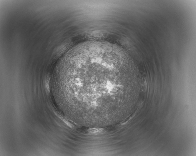 X0000058800334200510171353