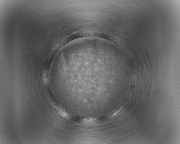 X0000058800335200510171353