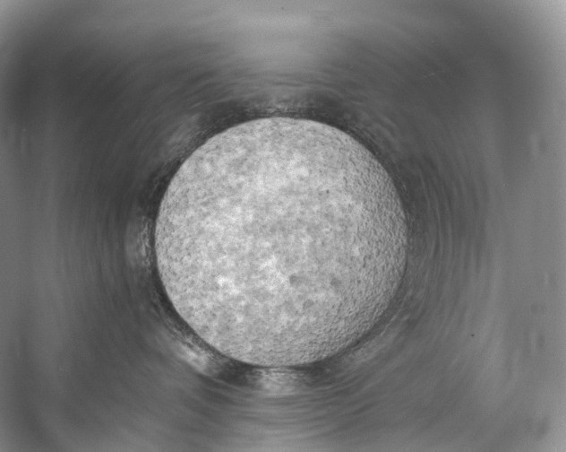 X0000058800336200510171353