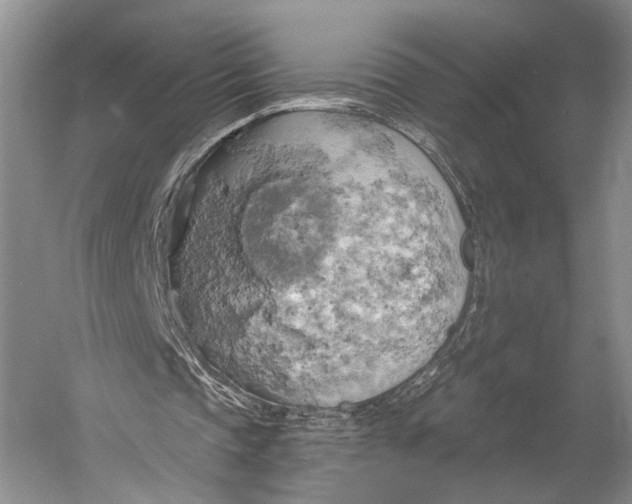 X0000058800337200510171353