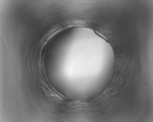 X0000058800338200510171353