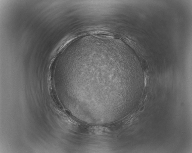 X0000058800339200510171353