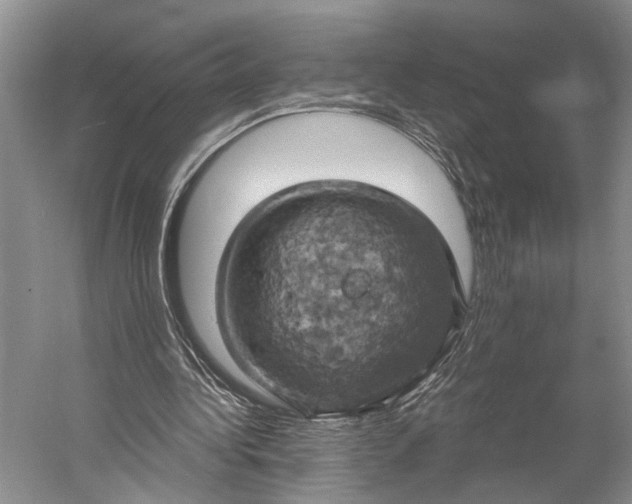 X0000058800340200510171353