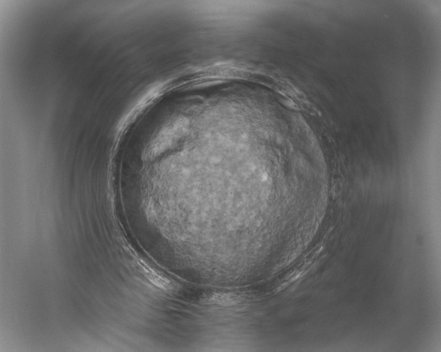 X0000058800341200510171353