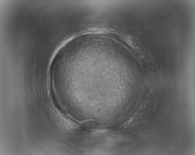 X0000058800342200510171353