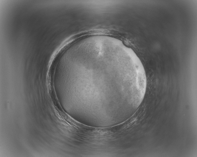 X0000058800343200510171353