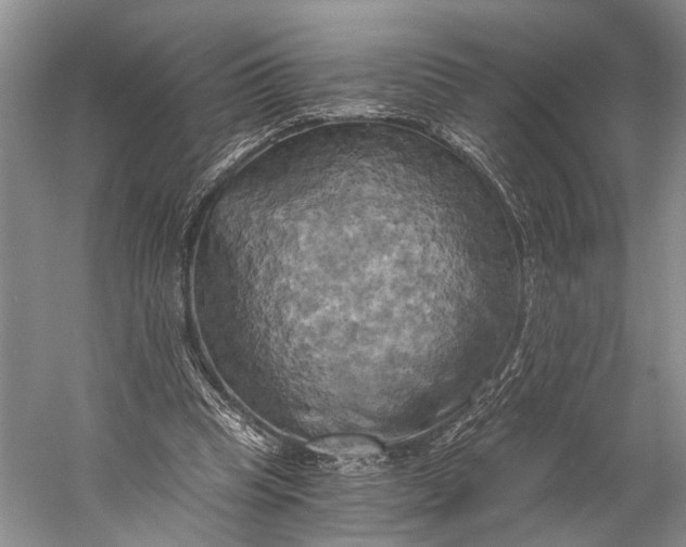 X0000058800345200510171353