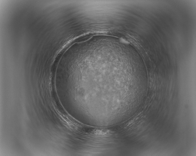 X0000058800346200510171353