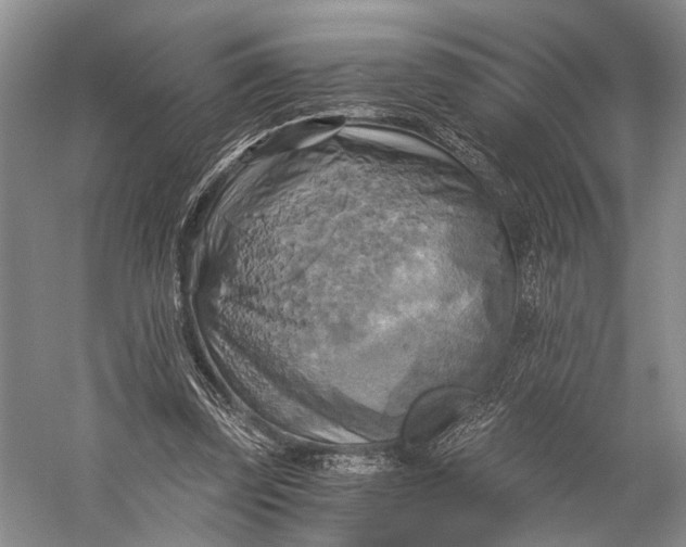 X0000058800347200510171353