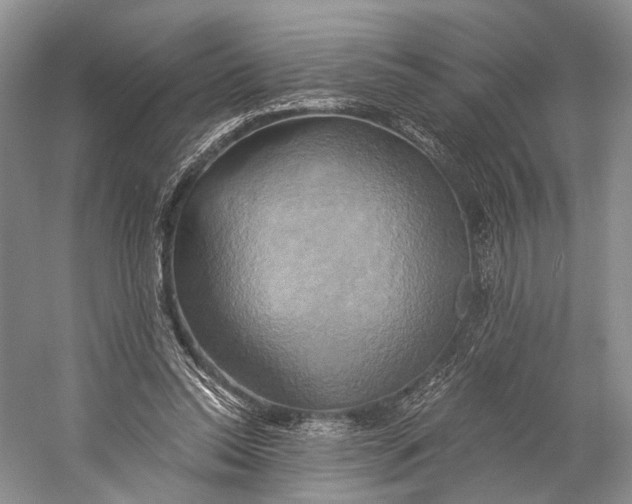 X0000058800350200510171353