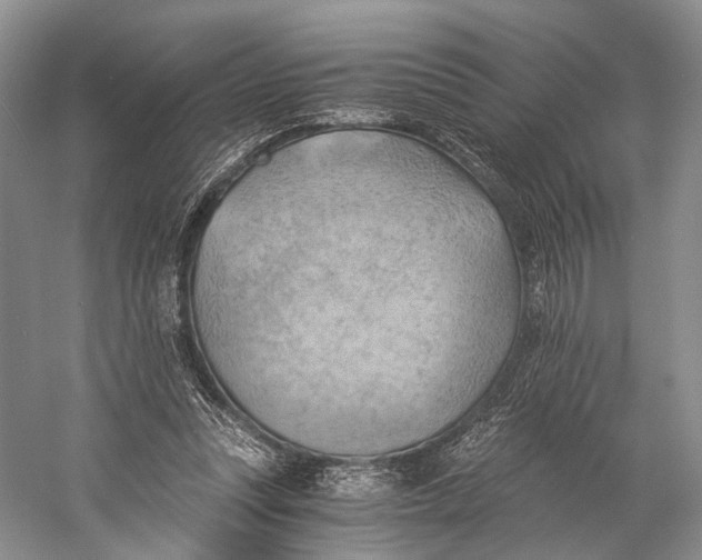 X0000058800351200510171353