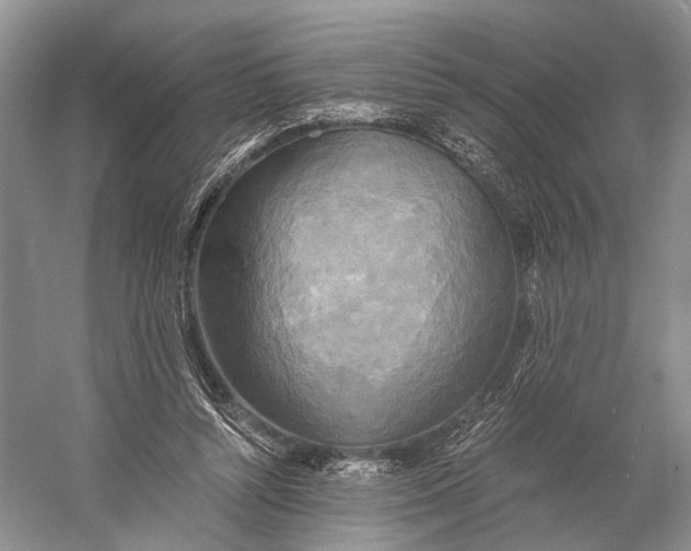 X0000058800352200510171353